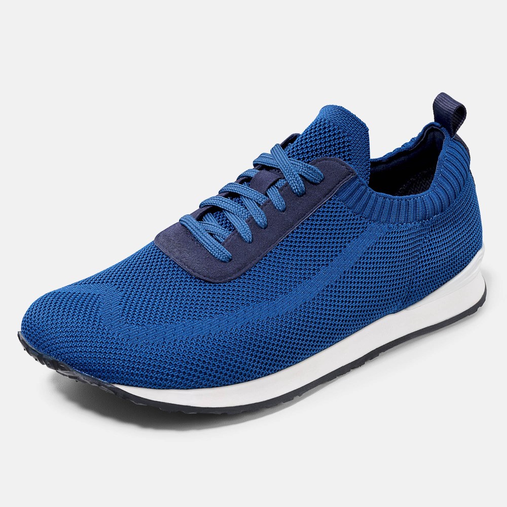 BÄR Pito 2.0 - Blau